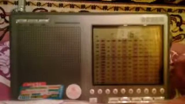 Прием радиолюбителей в SSB на на английском языке на Degen 1103 смотреть онлайн