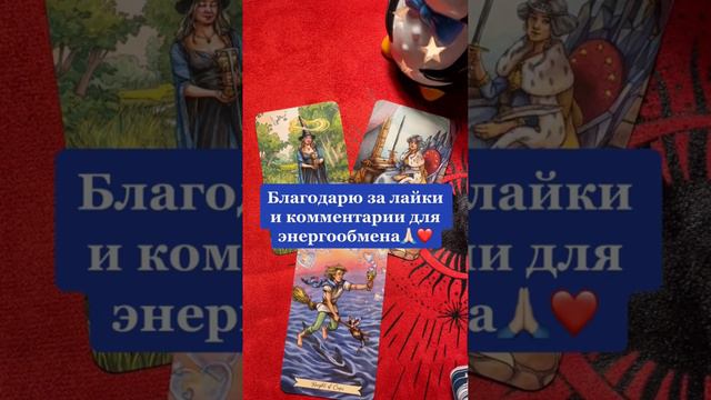 Телец Дева Козерог Прогноз Таро на неделю с 19-25 Декабря 2022 года #таропрогнознеделя смотреть онлайн