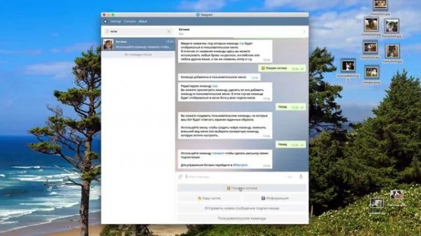 Как создать команду, которая отвечает случайным сообщением? (для ботов Telegram)