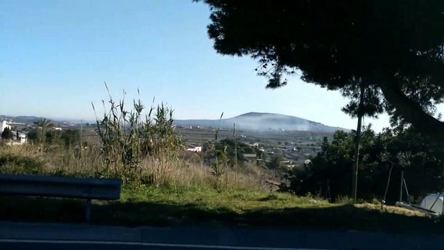 ФЕВРАЛЬ - Цветёт МЕНДАЛЬ !!! смотреть онлайн