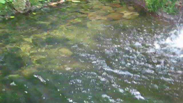 Зоопарк "Лимпопо" -1 смотреть онлайн