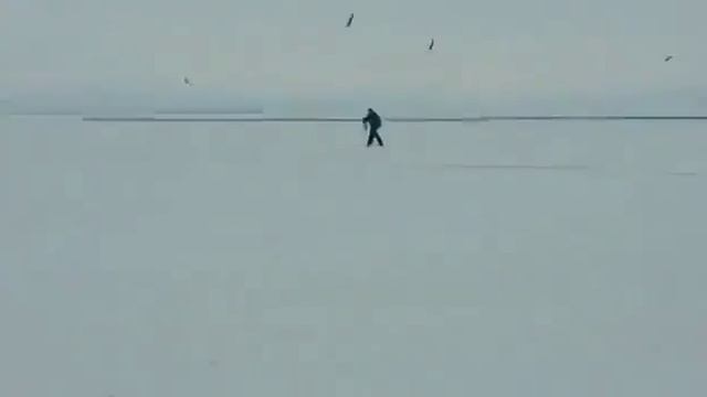 Охотское море,Тронулся лед! смотреть онлайн
