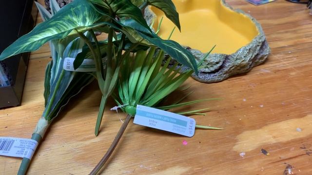 Ball Python Setup : Daddy-Daughter Snake Habitat Build смотреть онлайн