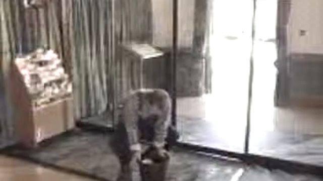 новый прикол 2013 смотреть онлайн