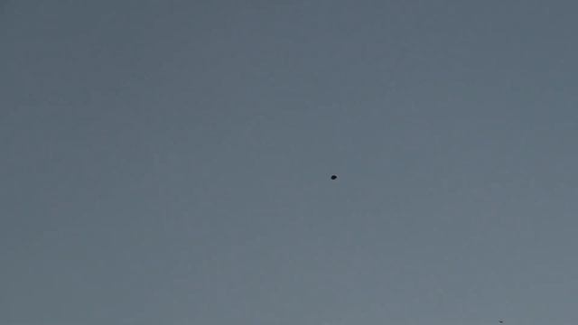 Полет голубей после заката солнца смотреть онлайн