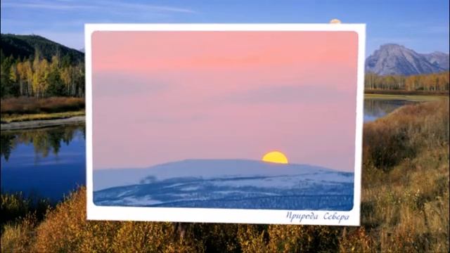 Моя коллекция. Набор открыток "Природа Севера" 16 шт. Фото Михаил Славин 2017 г. смотреть онлайн