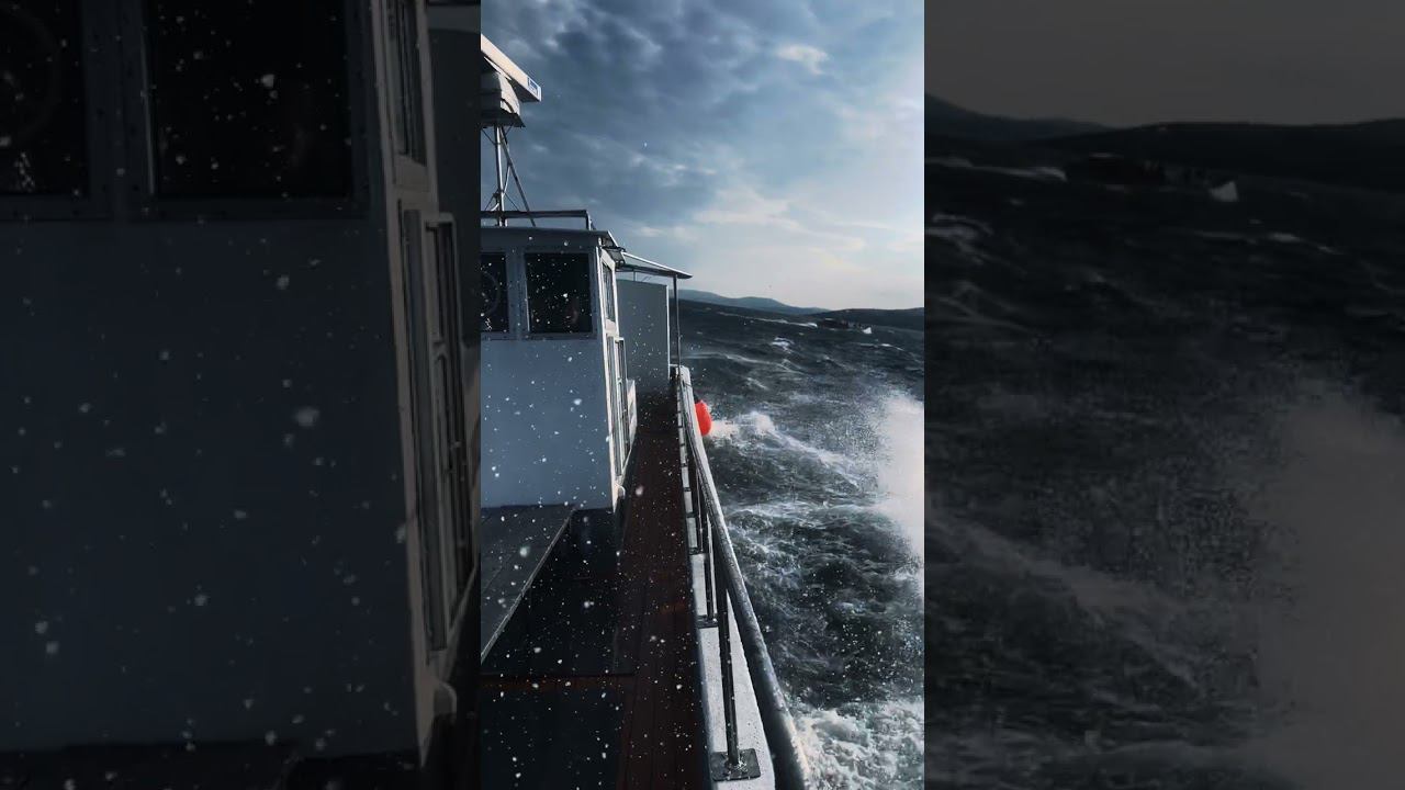 Морская прогулка