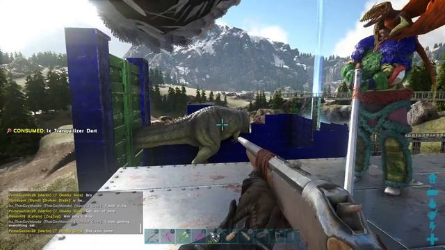 Attempting To Tame A GIGA!