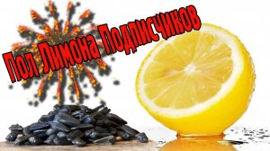 Пол Лимона Подписчиков (Упоротый Ролик!)