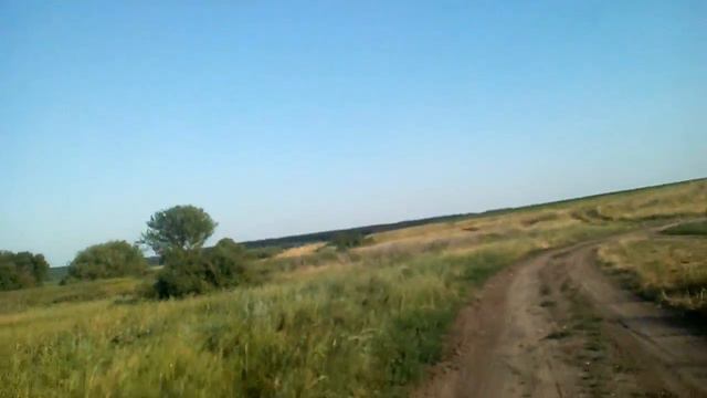 ЛИСА НАПУГАЛА ОВЧАРКУ!!! ШОК!!! смотреть онлайн
