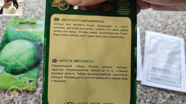 Лучшие ранние средние и поздние сорта белокочанной капусты смотреть онлайн