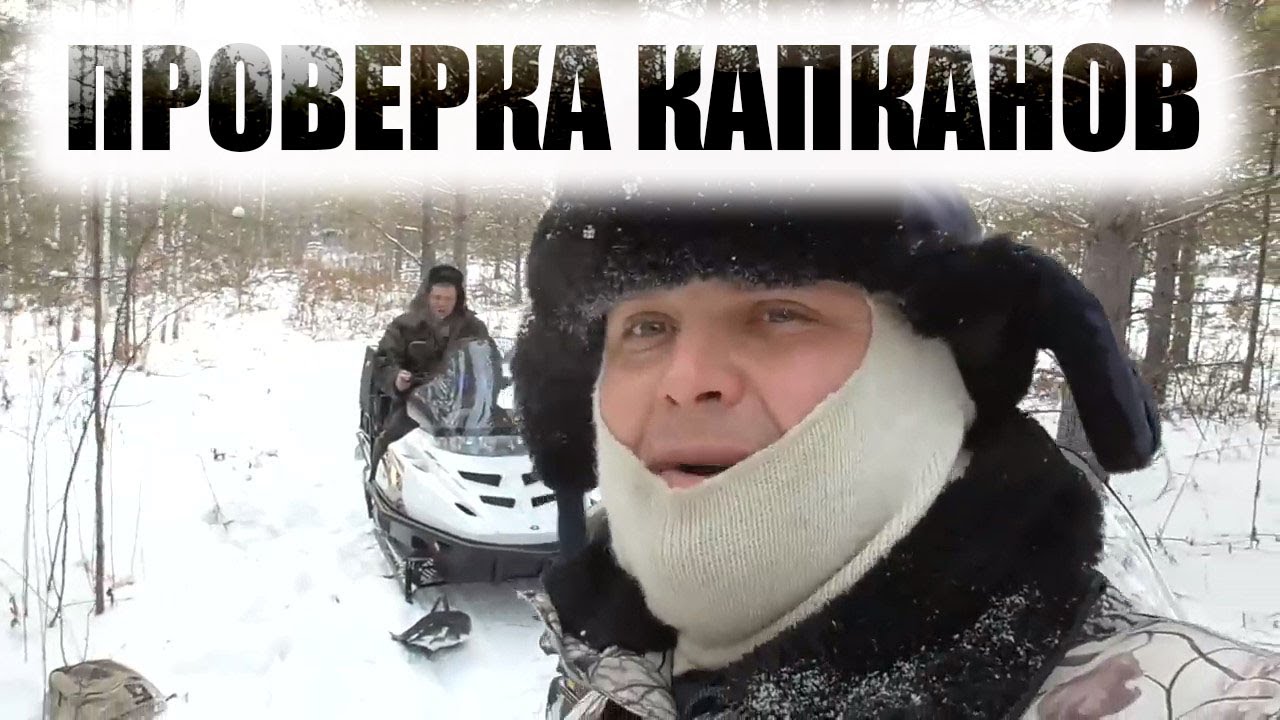 Охота на соболя Проверка капканов на снегоходах тайга варяг и поларис смотреть онлайн