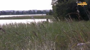 Один на реке 3 часть