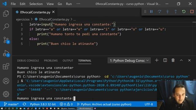 PYTHON Ejercicio 9.- Determinar si es vocal o consonante [24]???? смотреть онлайн