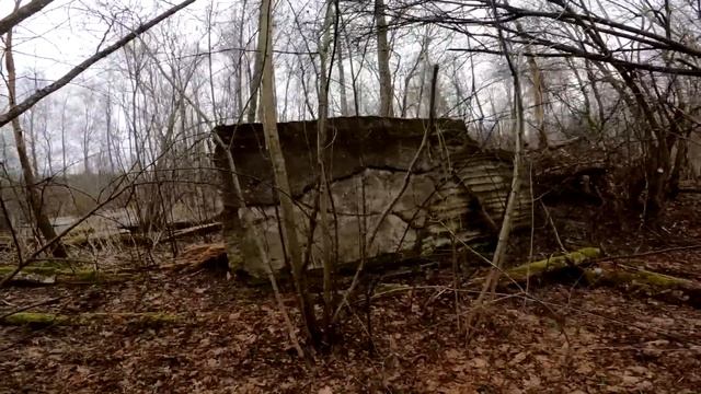 ВОТ ОНИ!!! НАШЕЛИ БУНКЕРА В ЛЕСУ и готовлюсь залезть в них... смотреть онлайн
