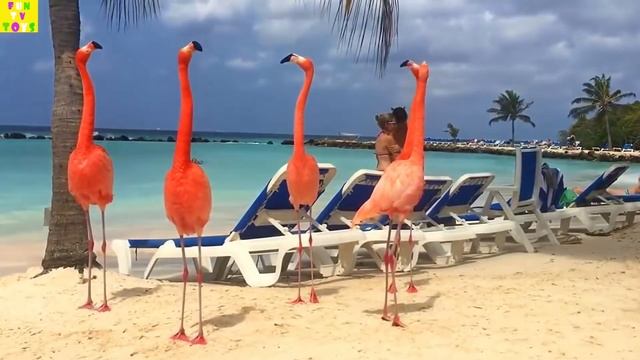 Learn Colors With Animals And Farm Surprise Toy For Kid Child With Foam Beads #forchildren #animals