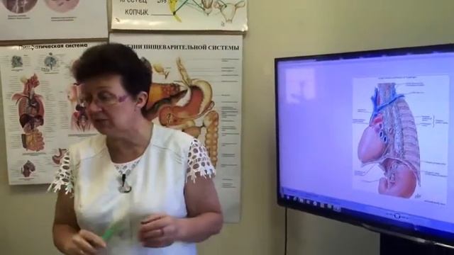 Почему болит и часто стучит сердце после еды. Почему это часто происходит при сыроедении и голодани смотреть онлайн