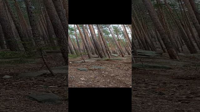 Склон Чëртово Городище.mp4 смотреть онлайн