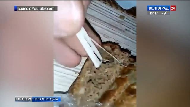 Плесень, шурупы и тараканы: что волгоградцы находят в еде смотреть онлайн