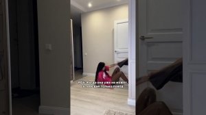 12 ноября 2023 г.