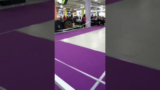 Моно ПК Москва 25.03.2017 Суки - промежуток смотреть онлайн