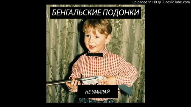 Бенгальские Подонки - Не Умирай смотреть онлайн