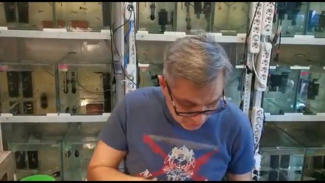 Наши гуппи - чем мы их кормим смотреть онлайн