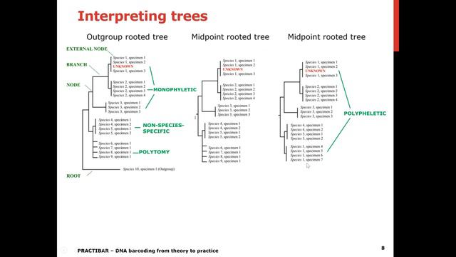Euphresco Practibar Workshop: ONLINE RESOURCES FOR DNA ANALYSIS INTERPRETING BLAST RESULTS