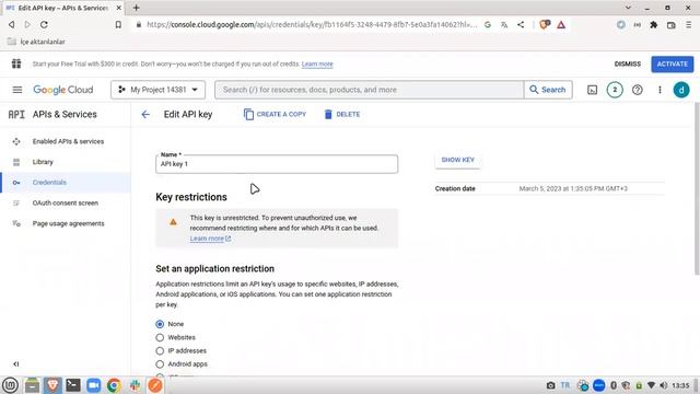Google Books API için nasıl apikey oluşturabiliriz? смотреть онлайн