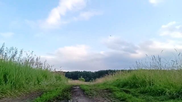 Haval JOLION DV4 Просто монстр по бездорожье смотреть онлайн