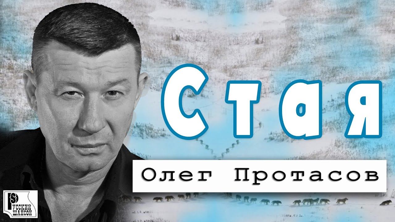 Олег Протасов - Стая (Альбом 2018) | Русский шансон смотреть онлайн
