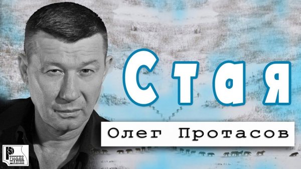 Олег Протасов - Стая (Альбом 2018) | Русский шансон