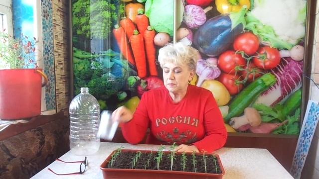 СУПЕРРАННИЙ УРОЖАЙ ТОМАТОВ - КАК ПОЛУЧИТЬ? Ольга Чернова. смотреть онлайн