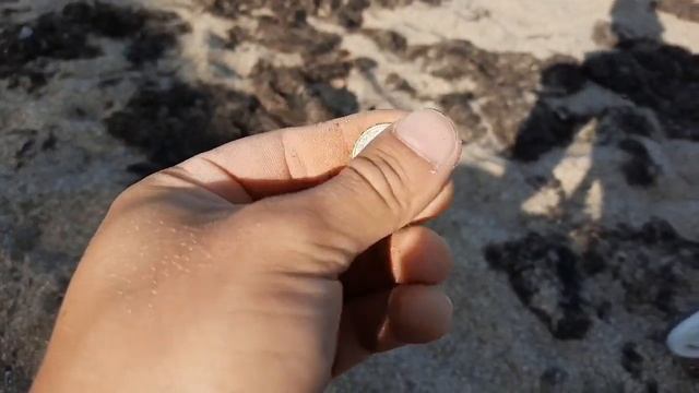 НАШЕЛ МНОГО СЕРЕБРЯННЫХ НАХОДОК после Шторма!!! Пляжный коп в Крыму смотреть онлайн