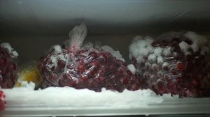 восстановление уплотнителя двери холодильника