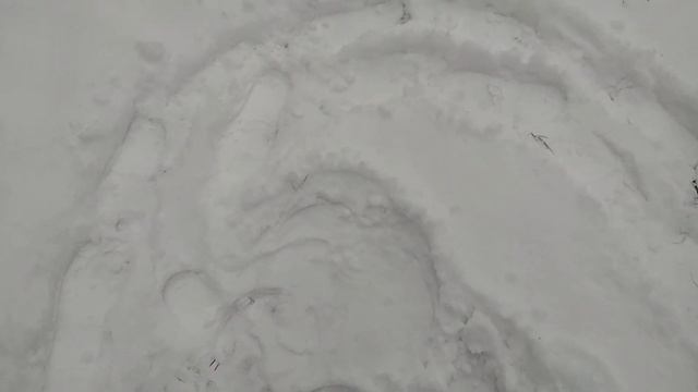 Свидетели биорамки. смотреть онлайн