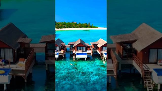 🌍 Мальдивы🇲🇻Красивый коралловый риф прямо за дверью виллы 😍 #travel #путешествия #природа #вода смотреть онлайн