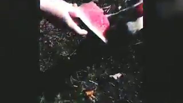 Топ 10 смешные случаи с Тайсоном! смотреть онлайн