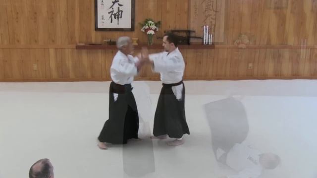 Aikido - Mitsugi Saotome Shihan - 2014 ASU DC Summer Camp