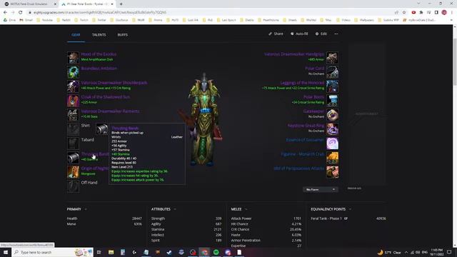 Wrath Classic- Feral Druid- Cat and Bear shared BiS Gearing options смотреть онлайн