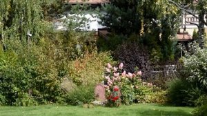 Самые красивые сады России: Сад-подарок писательницы Ирины Даниловой