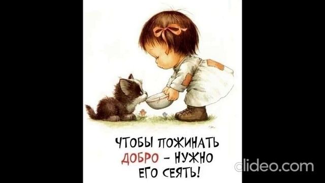 перед завтраком 08.07 смотреть онлайн