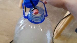 Самый простой генератор co2 для растений