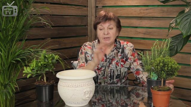 Сад в средиземноморском стиле ✅ Ландшафтный дизайн с HitsadTV