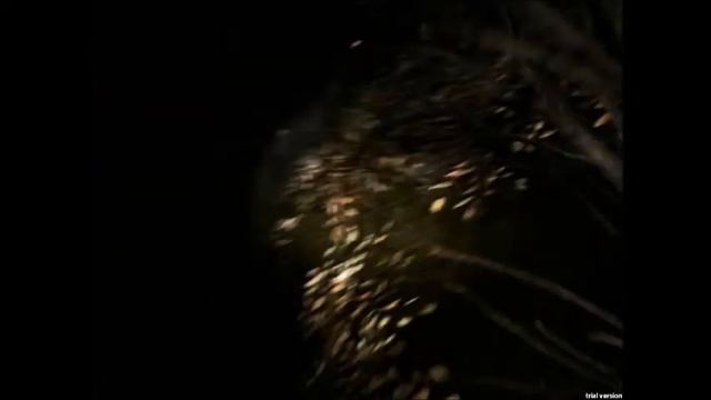 И снова Вий ( всегда следите за радио волнами!) смотреть онлайн