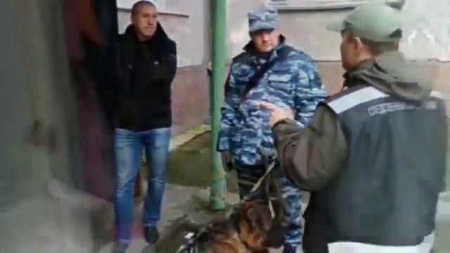 Мурманчанка утопила и выбросила в мусоропровод новорожденную дочь смотреть онлайн