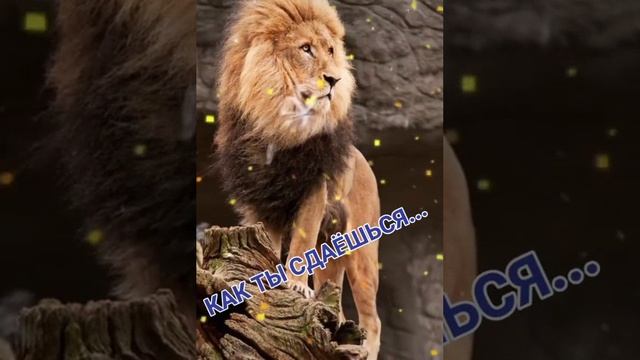 Tmate_20221203_1_x.mp4