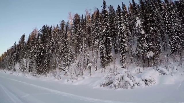 ЗИМНИЙ ВЕЛОПОХОД В -38*.ПОШЛО НЕ ПО ПЛАНУ.ОКРУЖИЛИ ВОЛКИ,ЛОПНУЛА ЦЕПЬ. смотреть онлайн