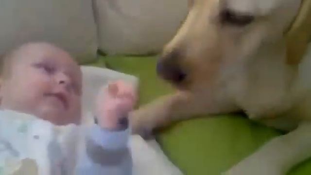 Умора, собака и малыш смотреть онлайн