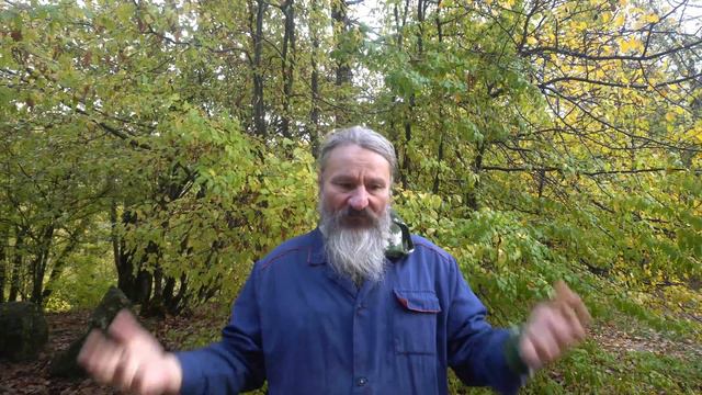 Дольмены города Геленджик, продолжение нашего путешествия!(dolmens of Gelendzhik) смотреть онлайн